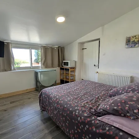 Vakantiehuis Maison Familiale Avec Piscine Privee Et Jardin Pour 11 Pers - Fr-1-653-265 *